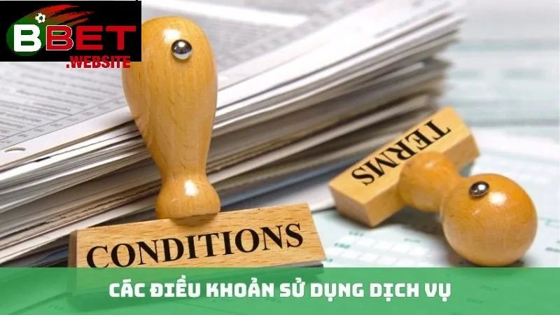 Các nội dung chính mà người chơi cần biết